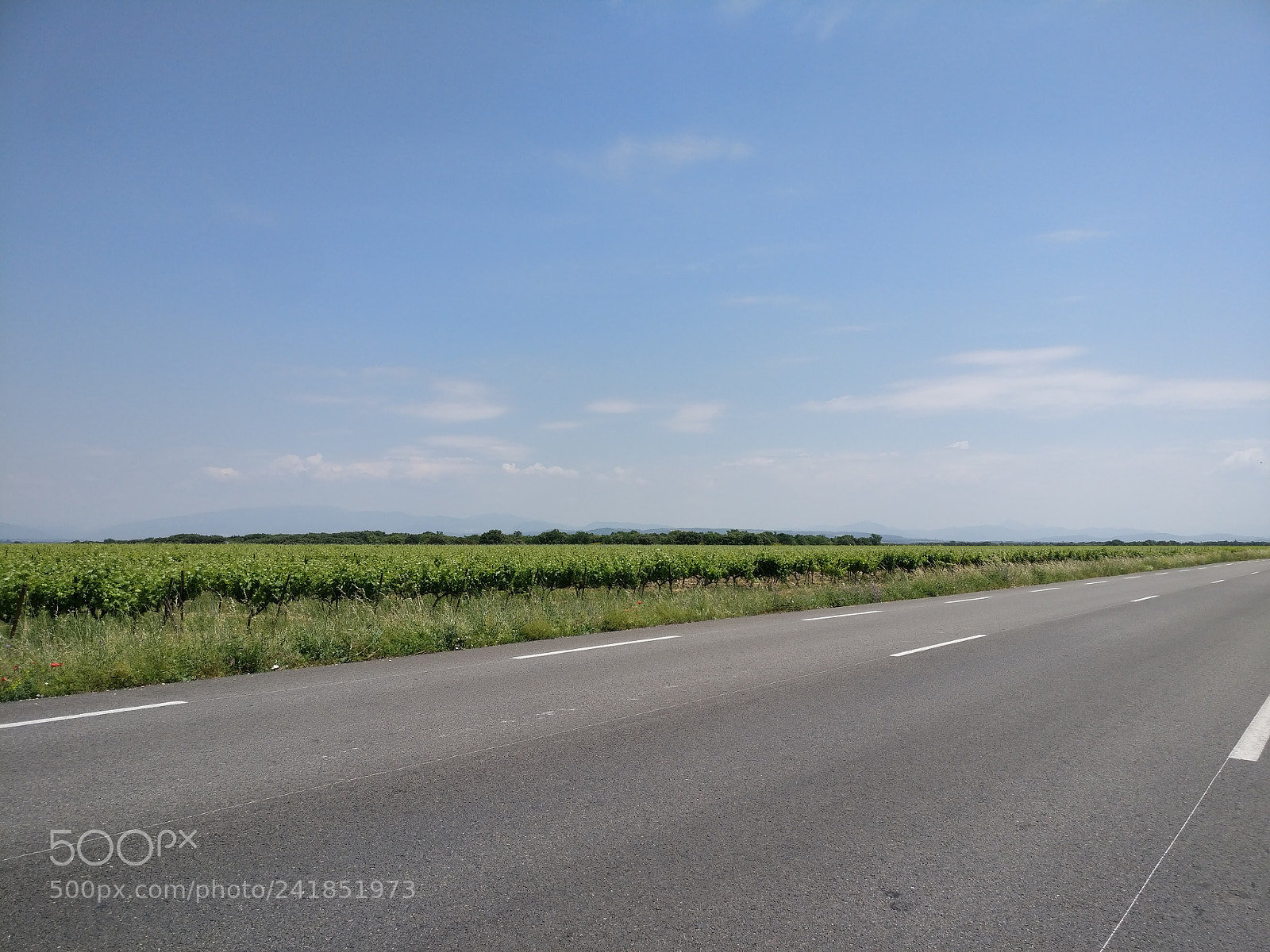OnePlus A3003 sample photo. Img_20170526_133605.jpg photography