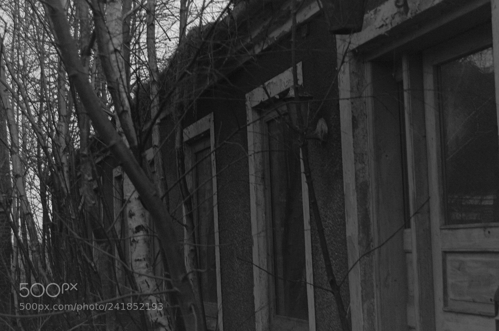 Nikon D3200 sample photo. Abandoned house. photography