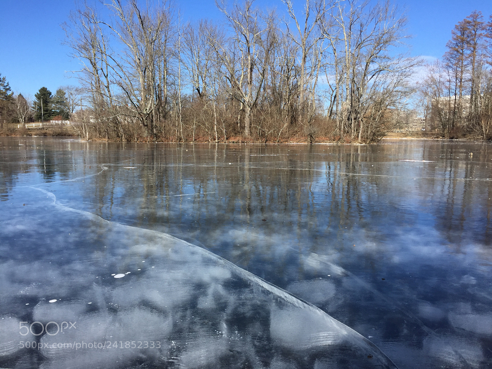 Apple iPhone 6 sample photo. Duck pond frozen after photography
