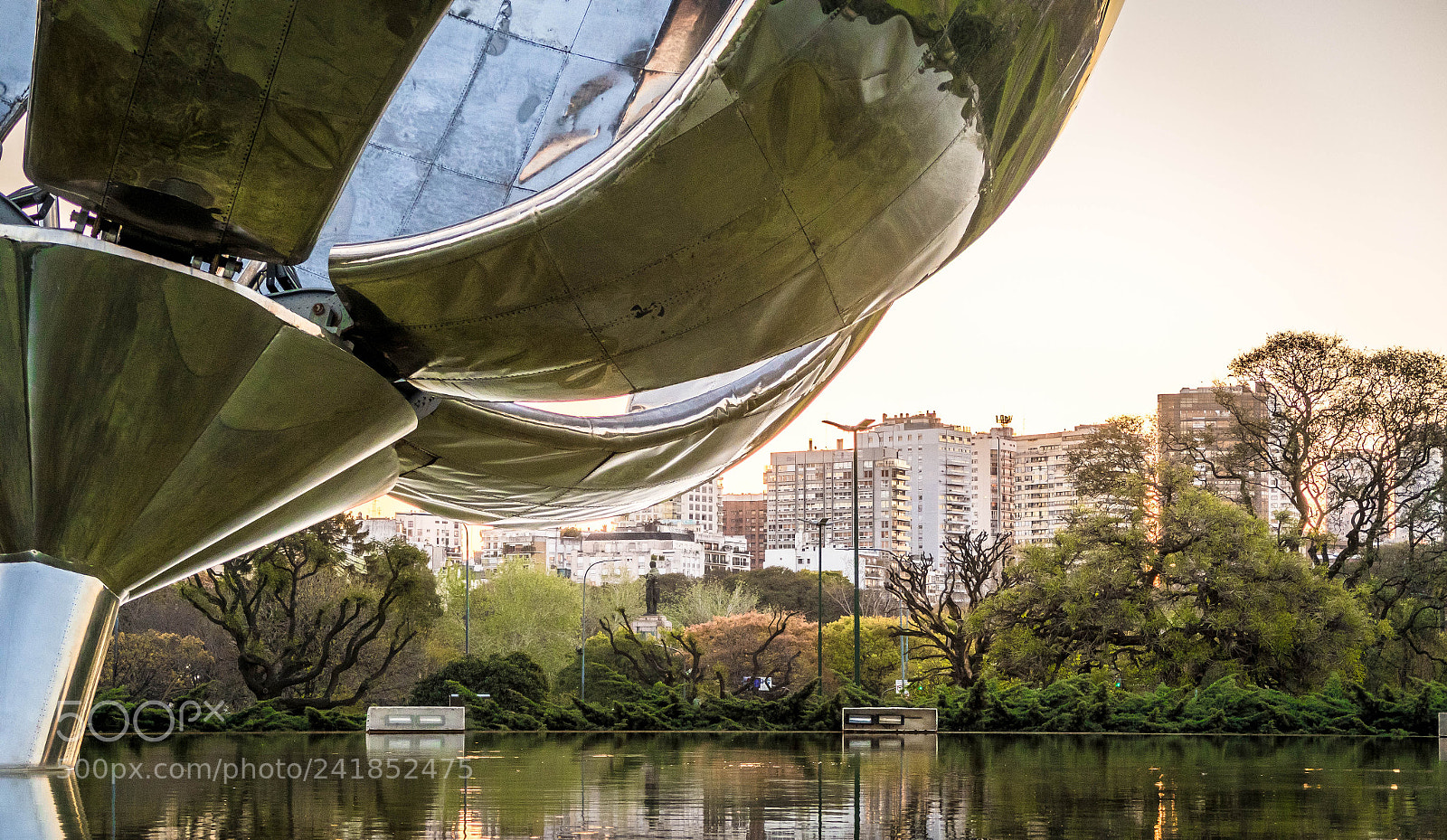 Canon PowerShot G7 X Mark II sample photo. Floralis generica photography
