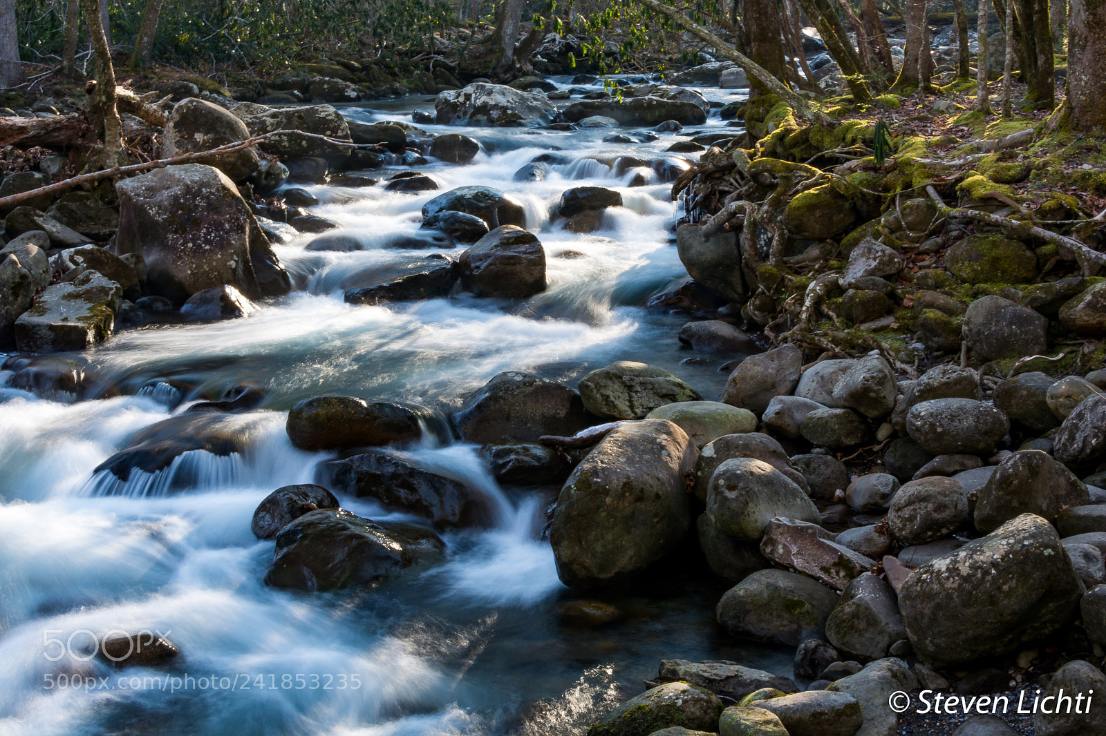 Nikon D7100 sample photo. Quiet walkway river photography