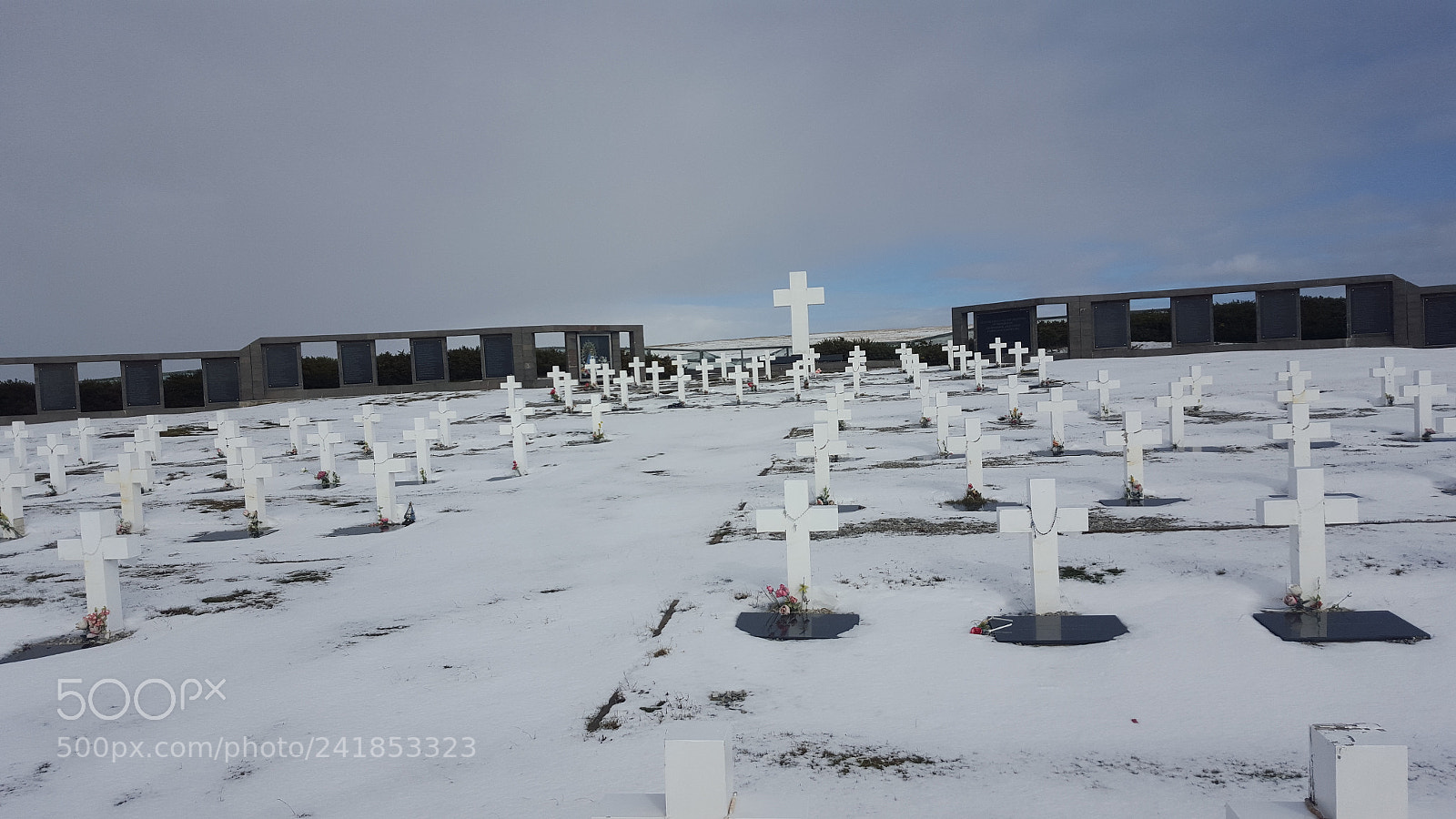 Samsung Galaxy S6 sample photo. Argentine darwin cemetery photography