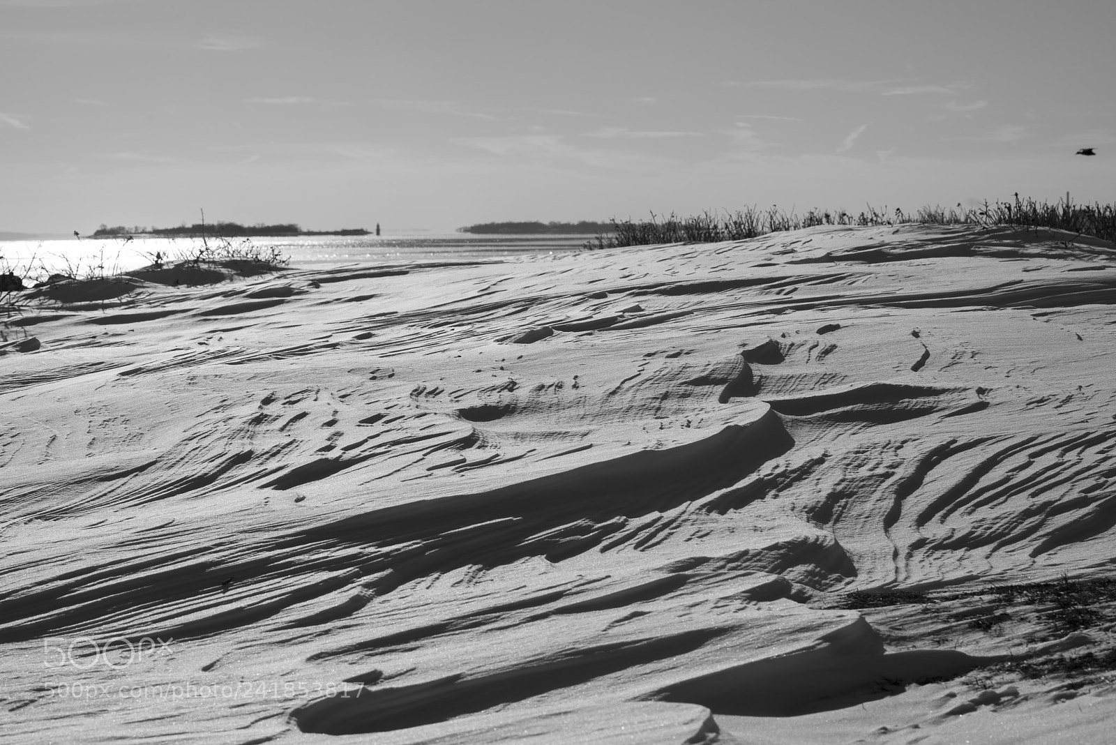 Pentax K-1 sample photo. Sherwood island beach sand photography