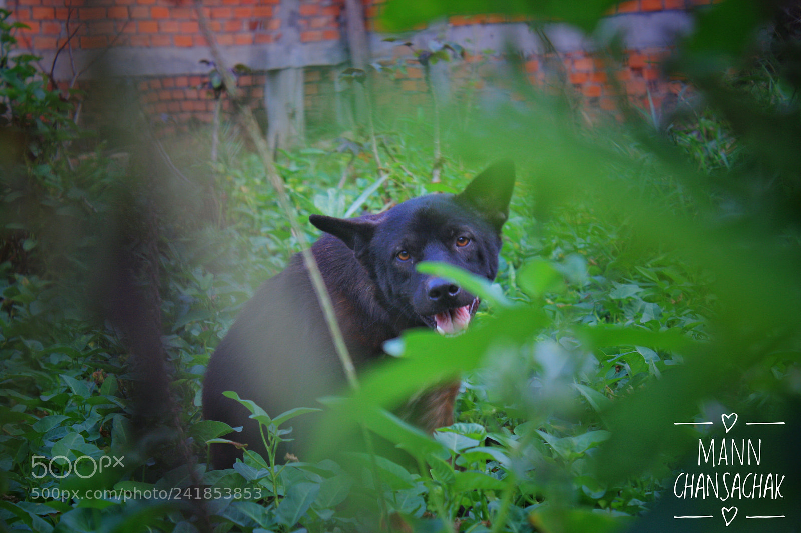 Canon EOS 40D sample photo. Untitled photography