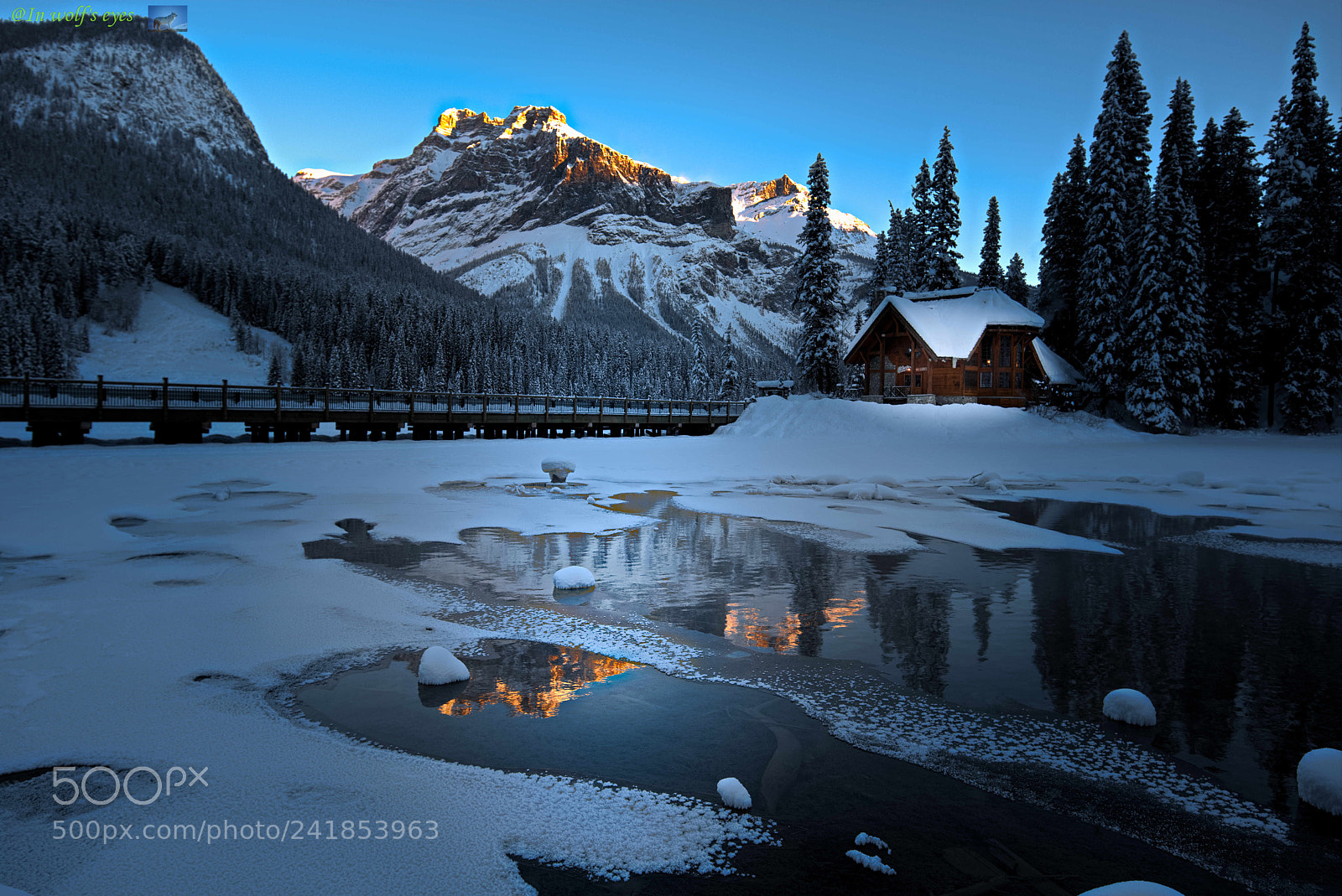 Nikon D810 sample photo. Morning light, canada photography