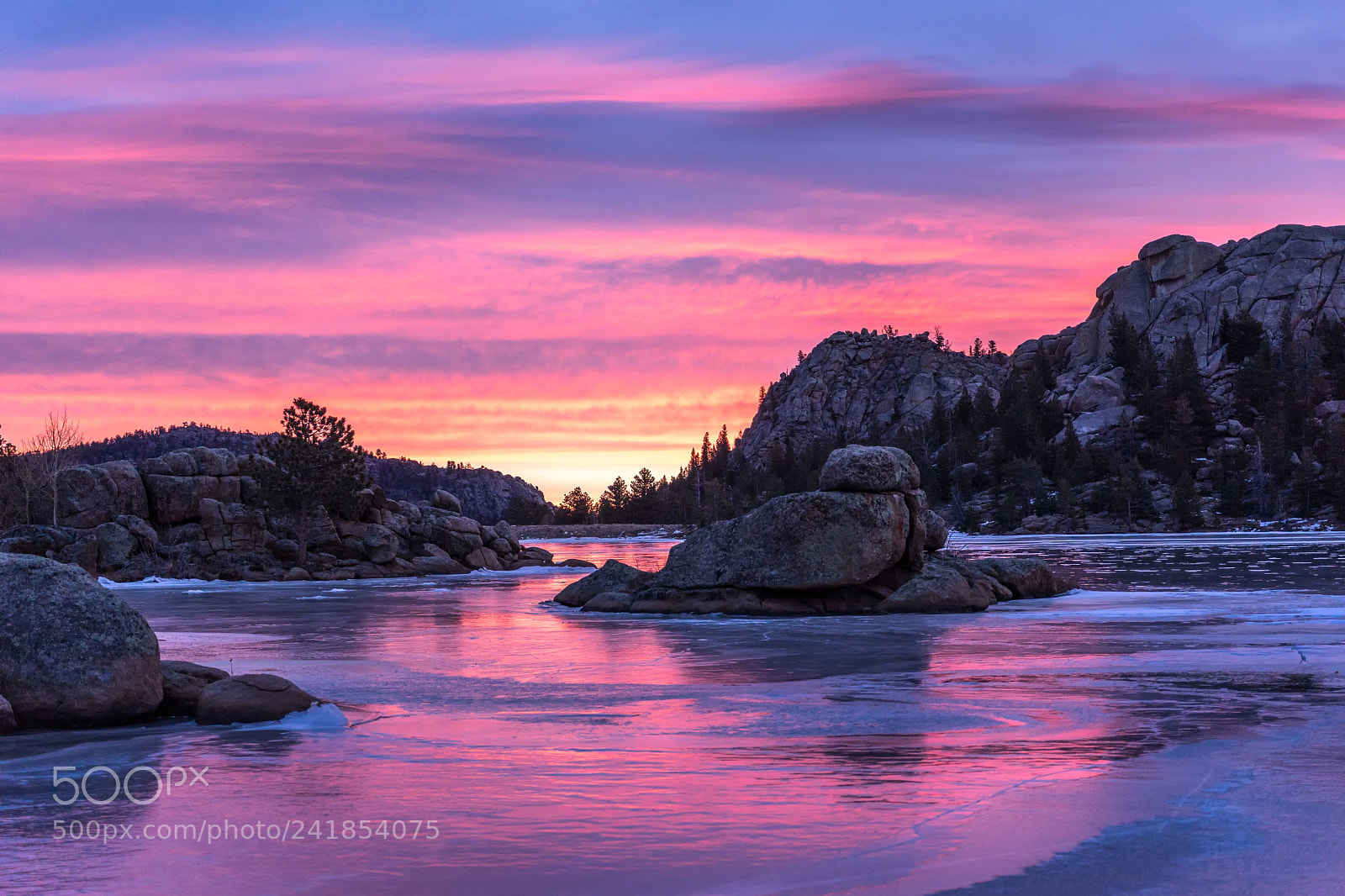 Sony a7 sample photo. Magenta morning photography