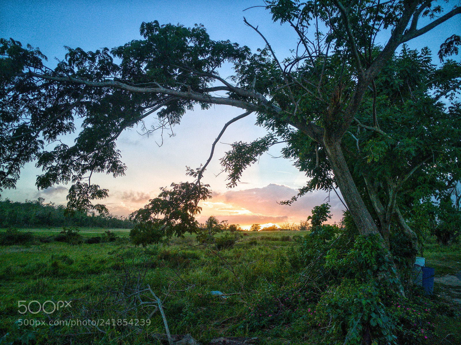 HUAWEI Mate 9 sample photo. A great sunset photography