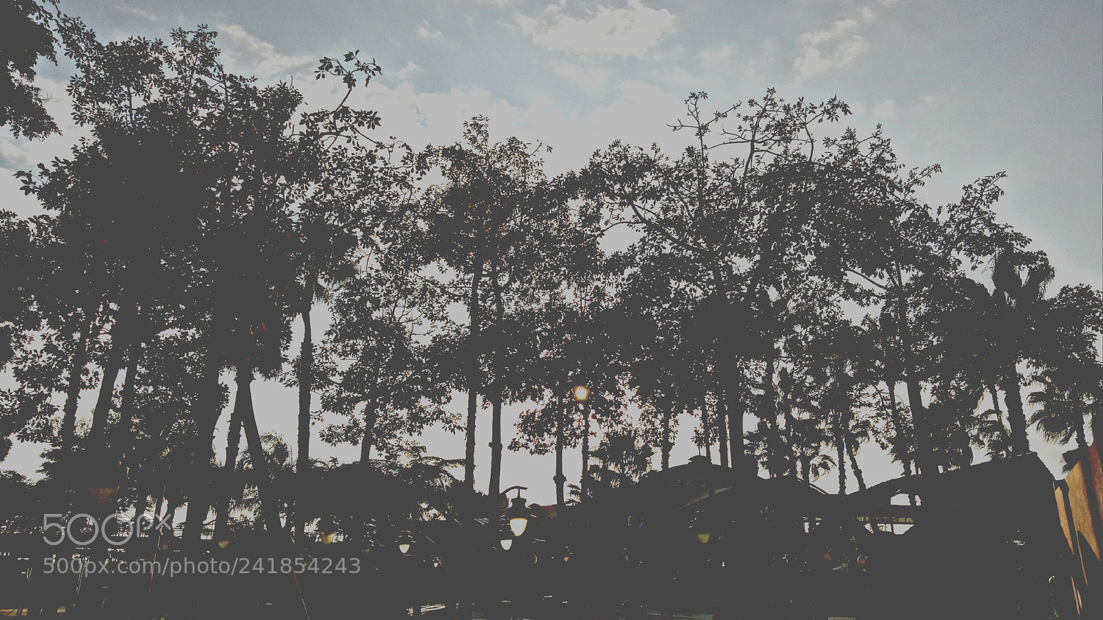 OPPO CPH1609 sample photo. Untitled photography