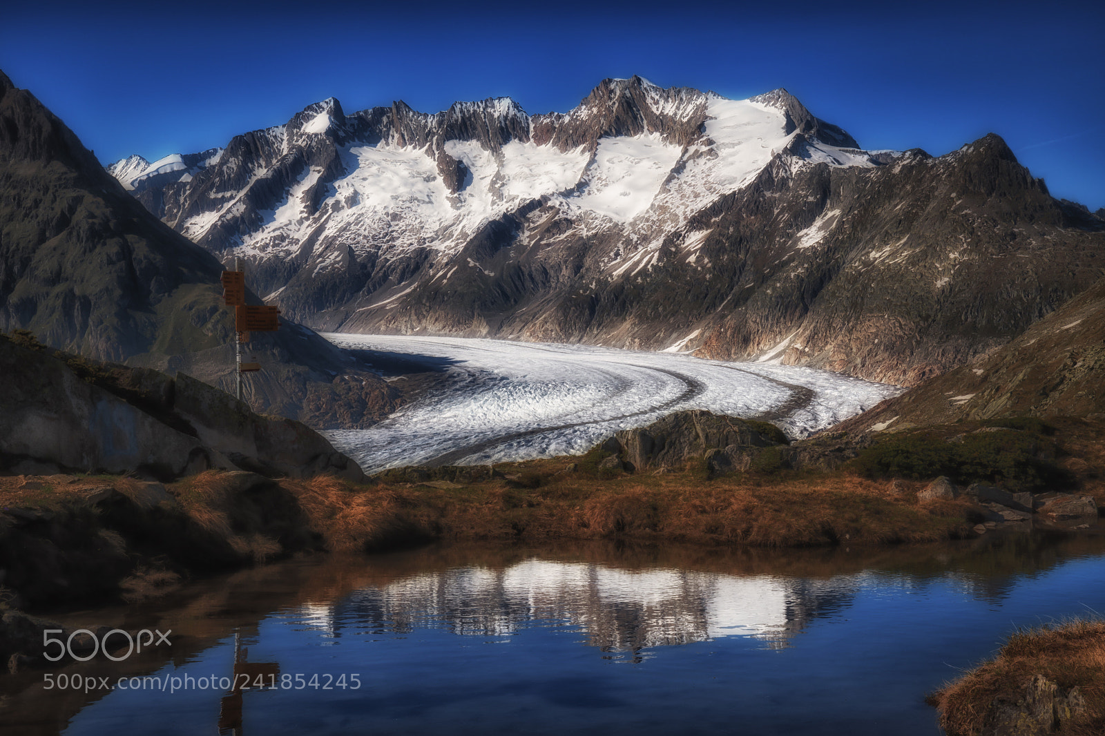Nikon D500 sample photo. Glacier in the alps photography