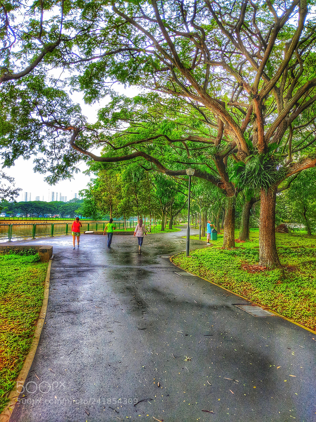 Google Pixel 2 sample photo. Road not taken. photography