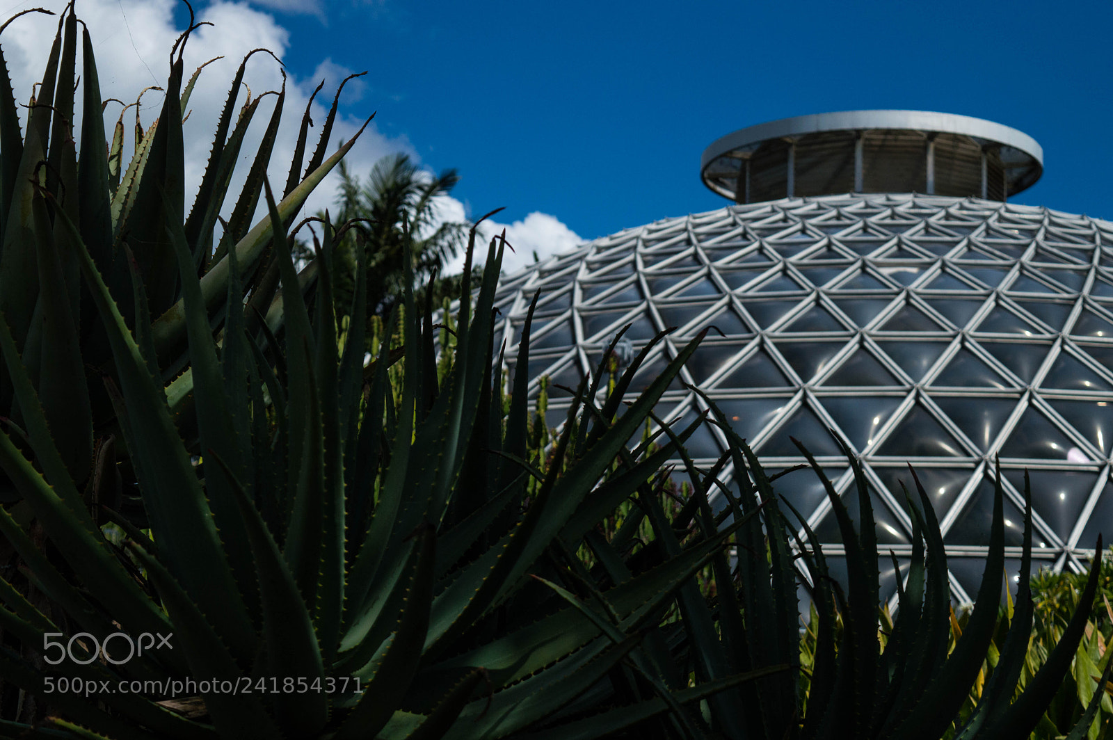 Nikon D3200 sample photo. Spiked dome photography