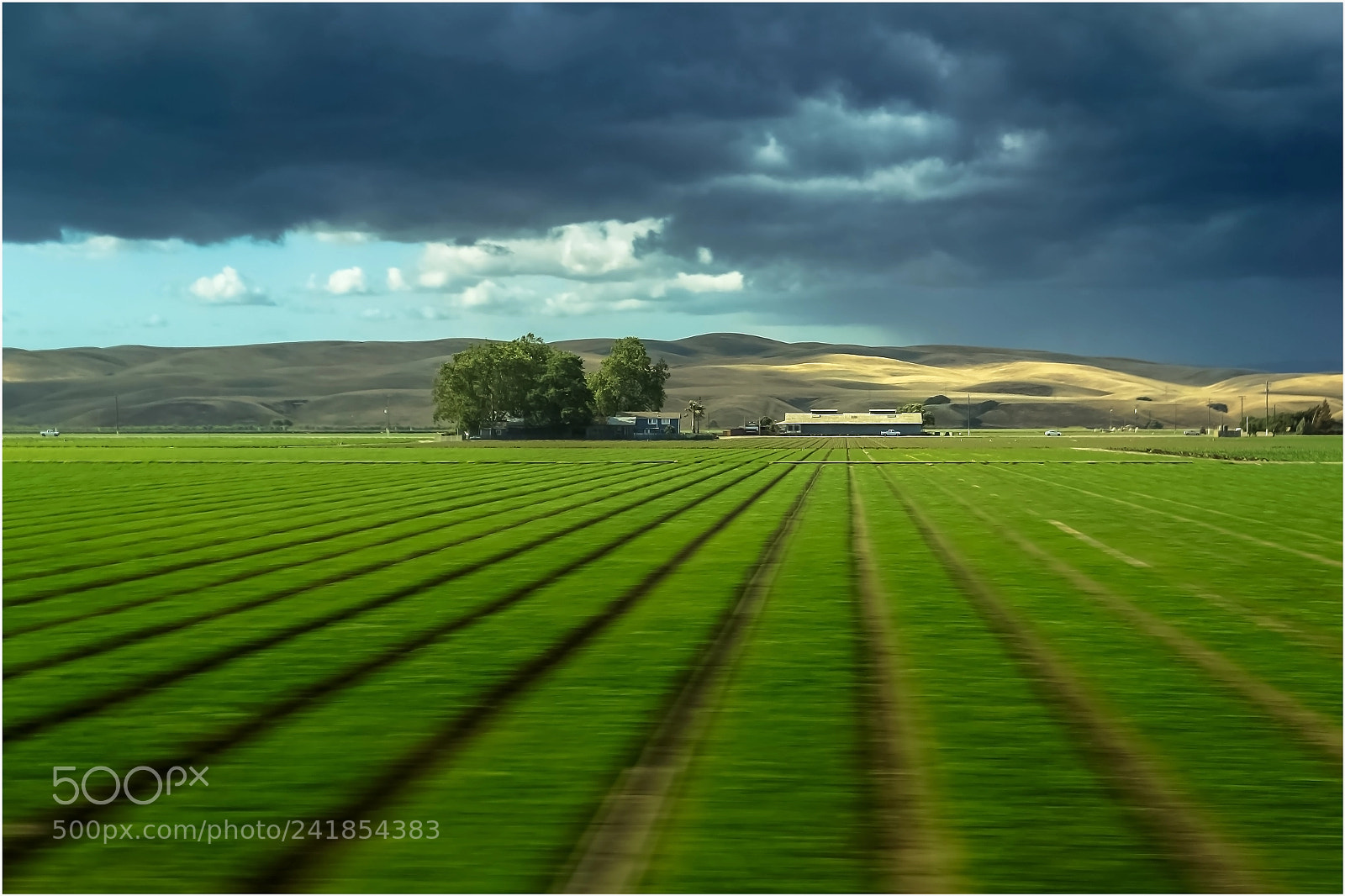 Sony Alpha NEX-5N sample photo. California farm photography
