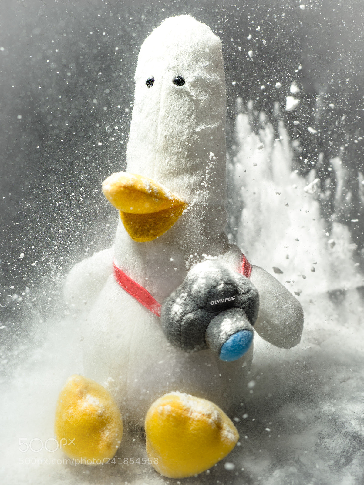 Olympus OM-D E-M1 sample photo. Snow duck photography