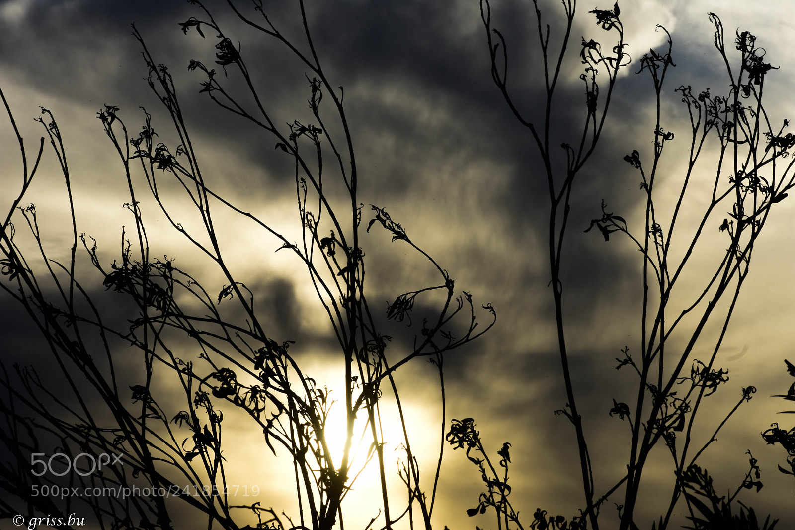 Nikon D3400 sample photo. "la tarde gris.... photography