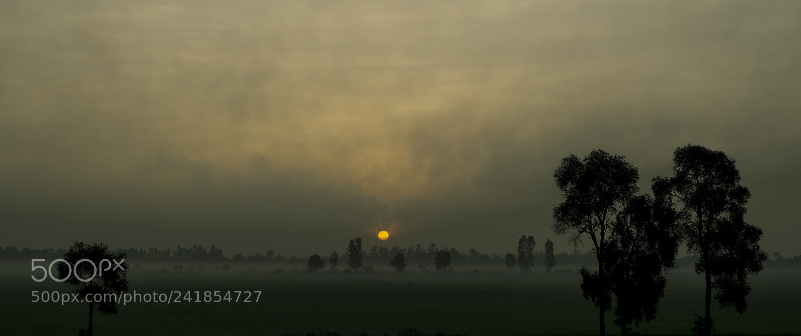 Fujifilm X-T10 sample photo. Overcast sunrise photography