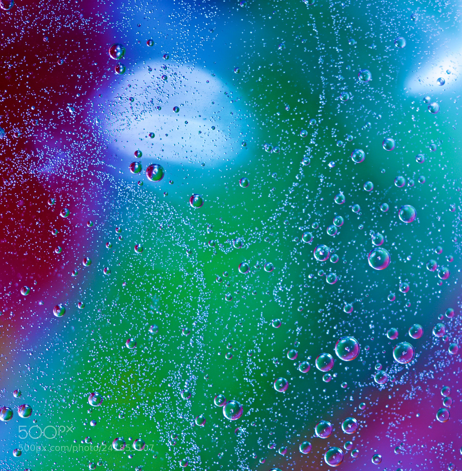 Nikon D800 sample photo. In a galaxy far photography