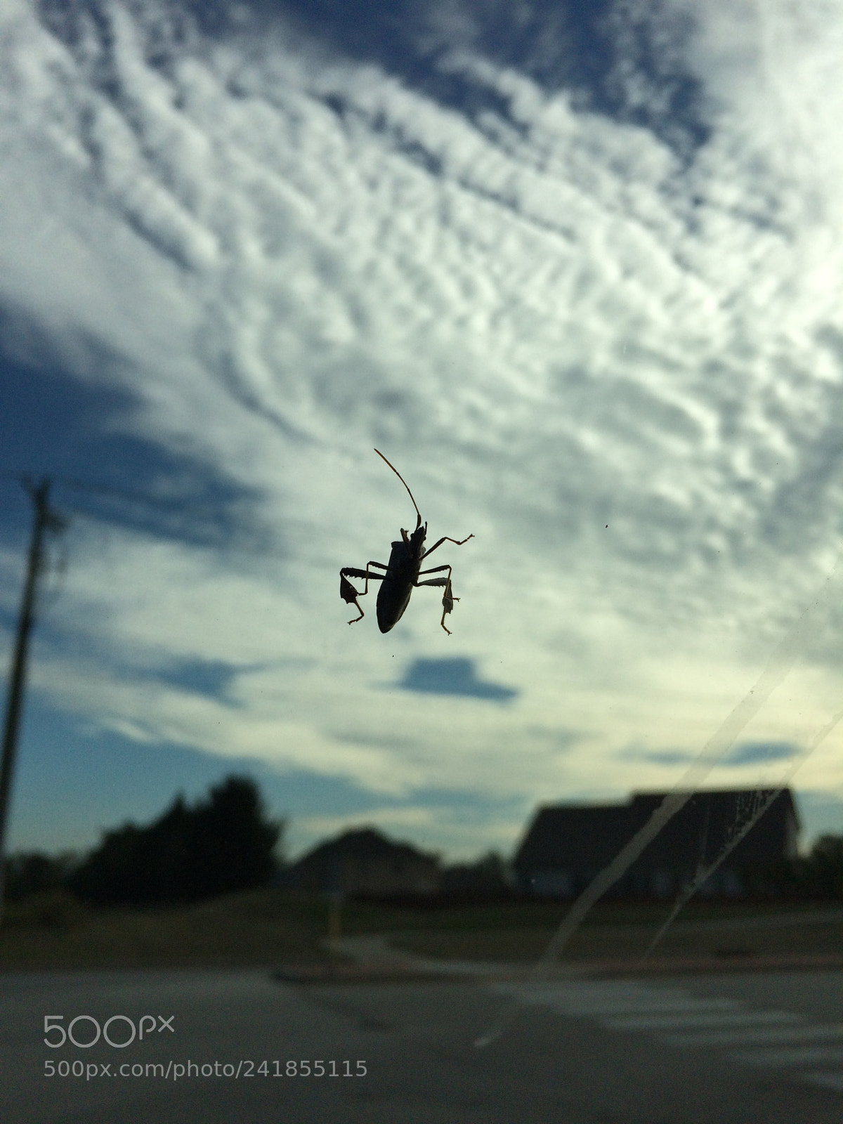 Apple iPhone 5s sample photo. The hitchhiker photography