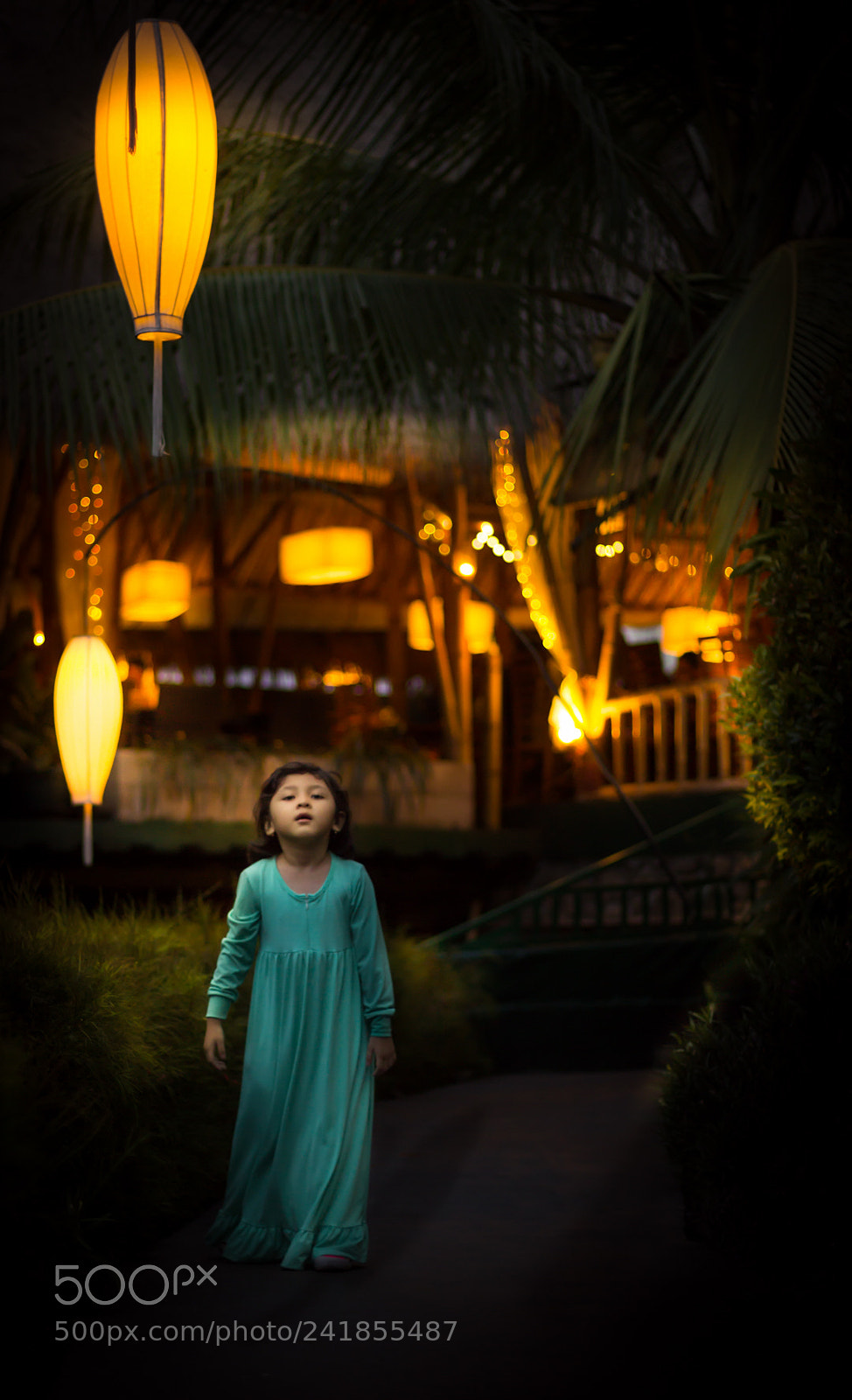 Canon EOS 1200D (EOS Rebel T5 / EOS Kiss X70 / EOS Hi) sample photo. The lantern photography