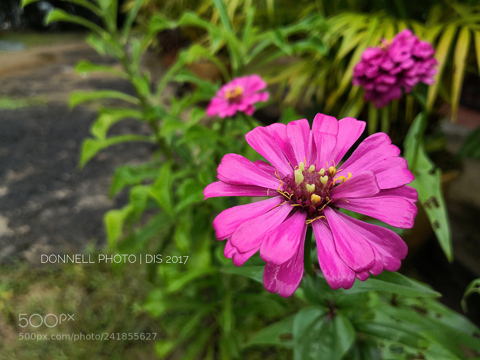 HUAWEI Mate 10 sample photo. Untitled photography