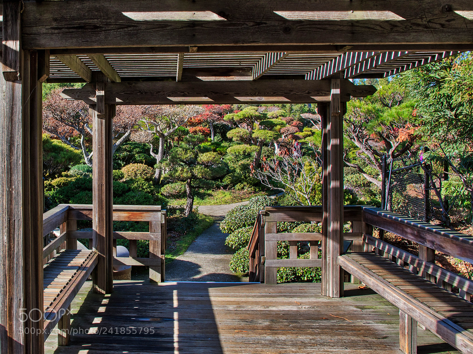 Pentax K-3 sample photo. Garden view photography