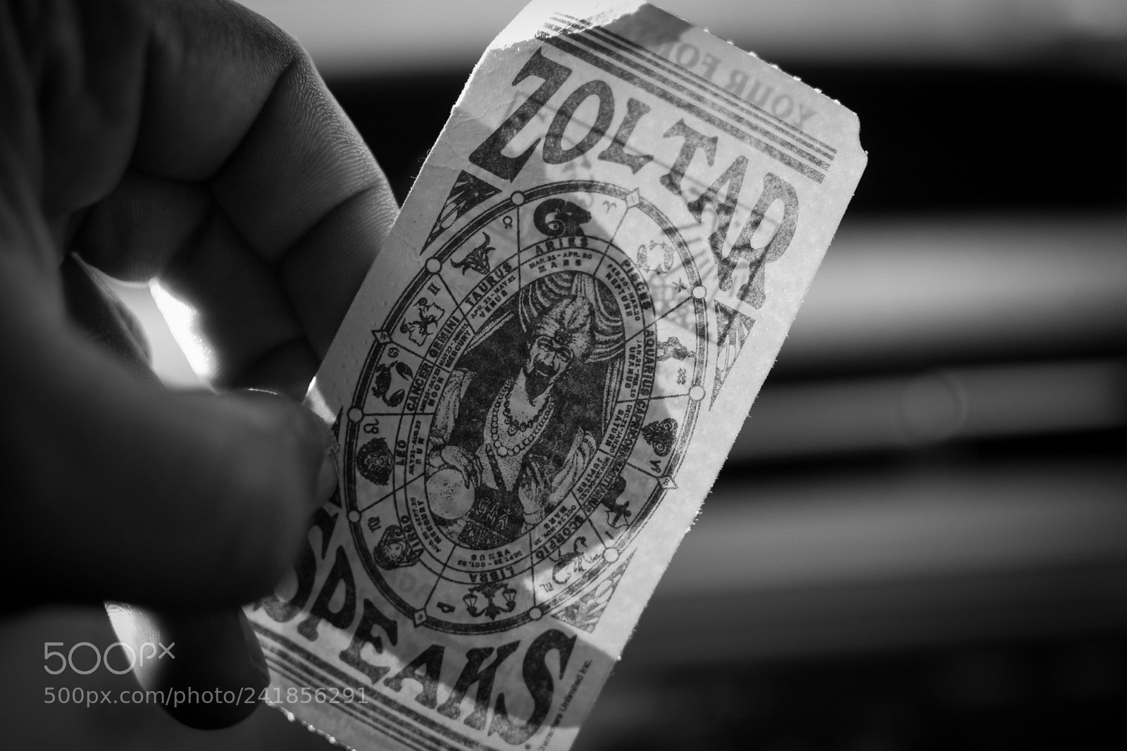 Nikon D7200 sample photo. Zoltar /big photography