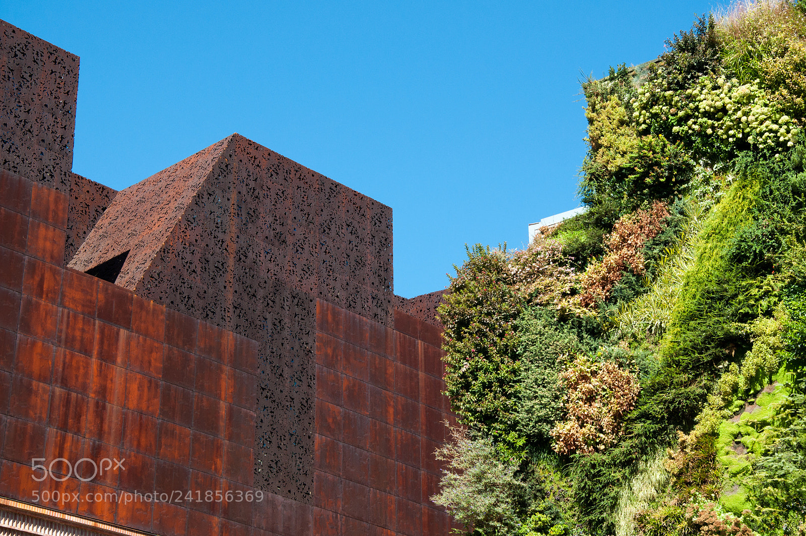 Nikon D90 sample photo. Steel and flower building photography