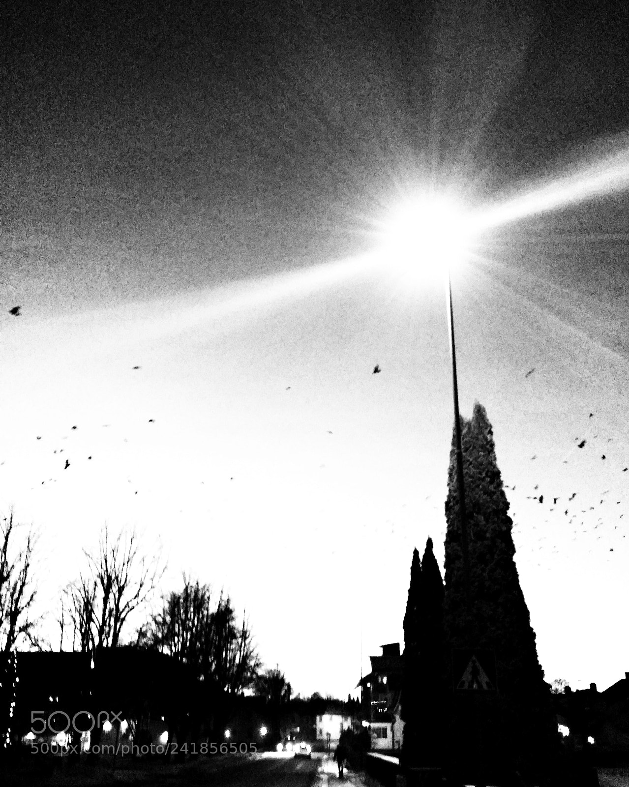 Samsung Galaxy S4 sample photo. Untitled photography