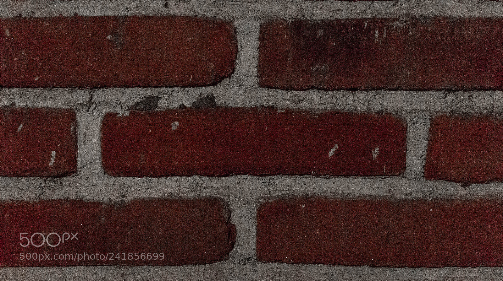 Sony SLT-A35 sample photo. Texturas photography