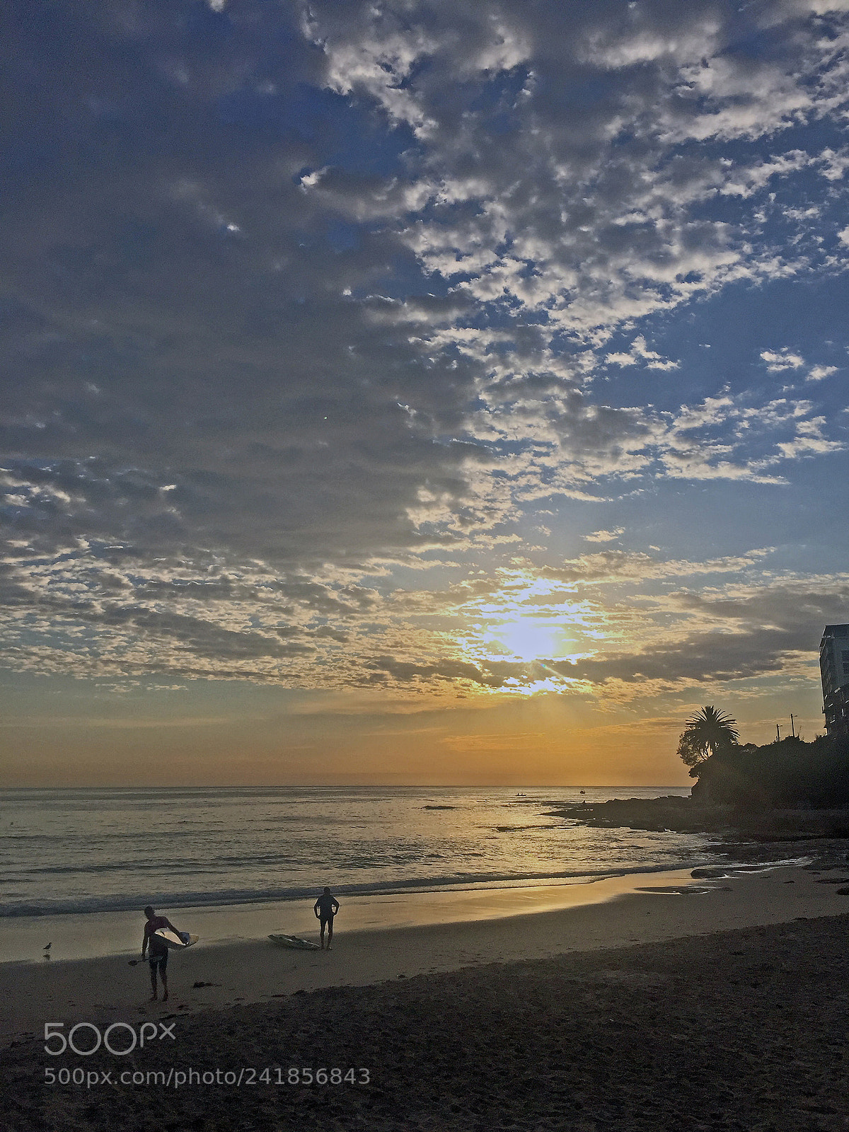 Apple iPhone 6 Plus sample photo. Disappointed board riders photography
