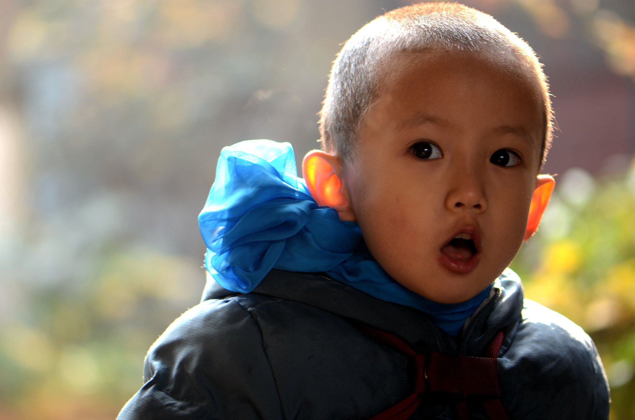 Nikon AF-S Micro-Nikkor 105mm F2.8G IF-ED VR sample photo. 呼唤 photography