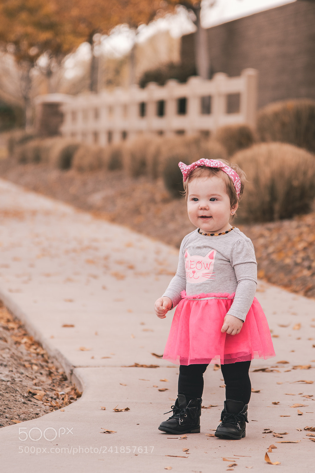 Nikon D5500 sample photo. Schmoopie photography