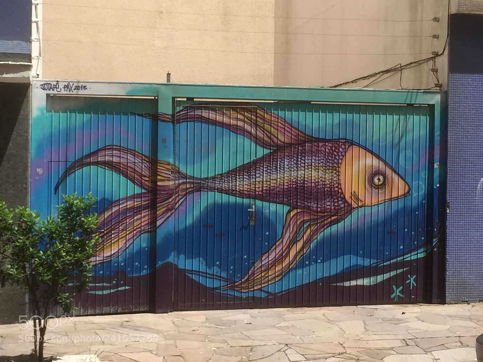 Apple iPhone 6 sample photo. The fish and the photography