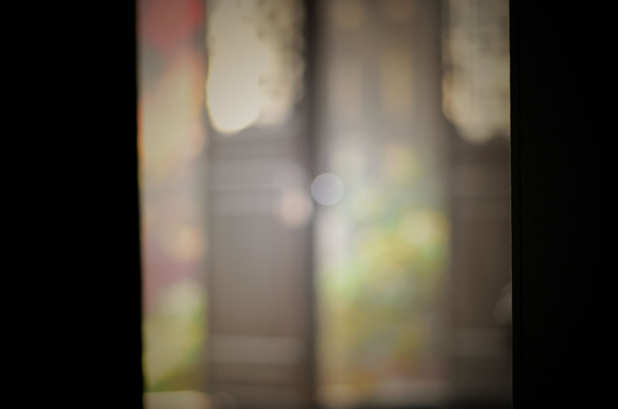 Nikon AF-S Micro-Nikkor 105mm F2.8G IF-ED VR sample photo. 望乡 photography