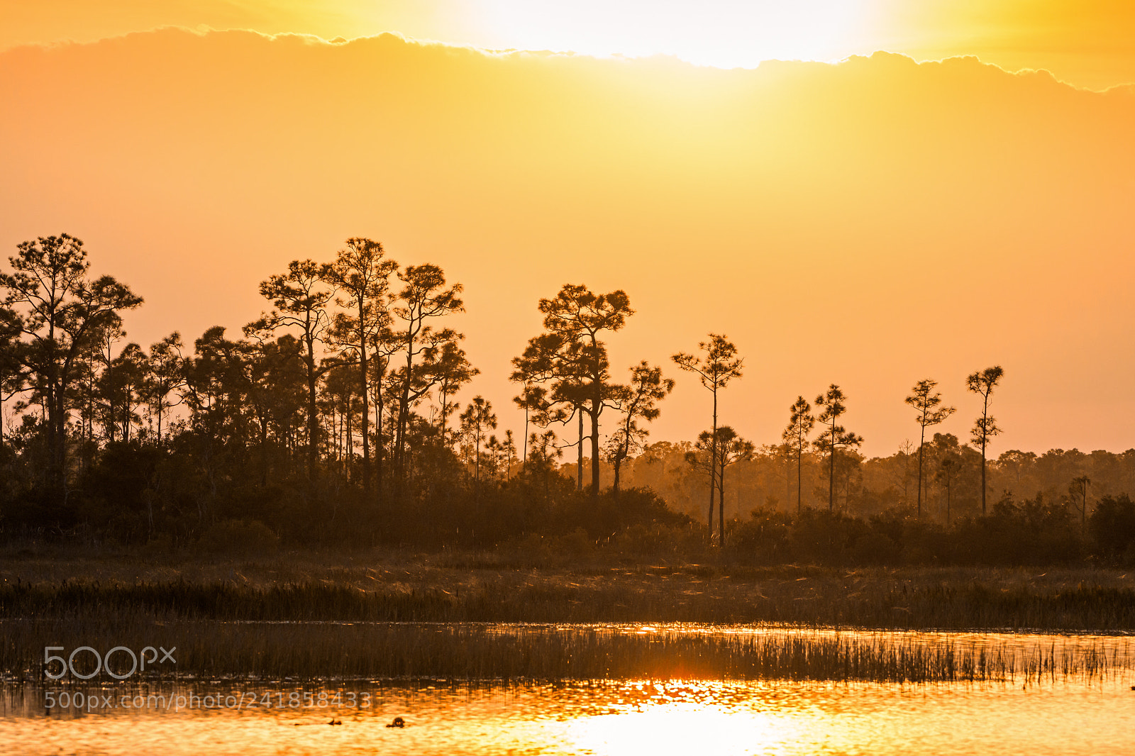 Nikon D500 sample photo. Warm sunset jupiter farms photography