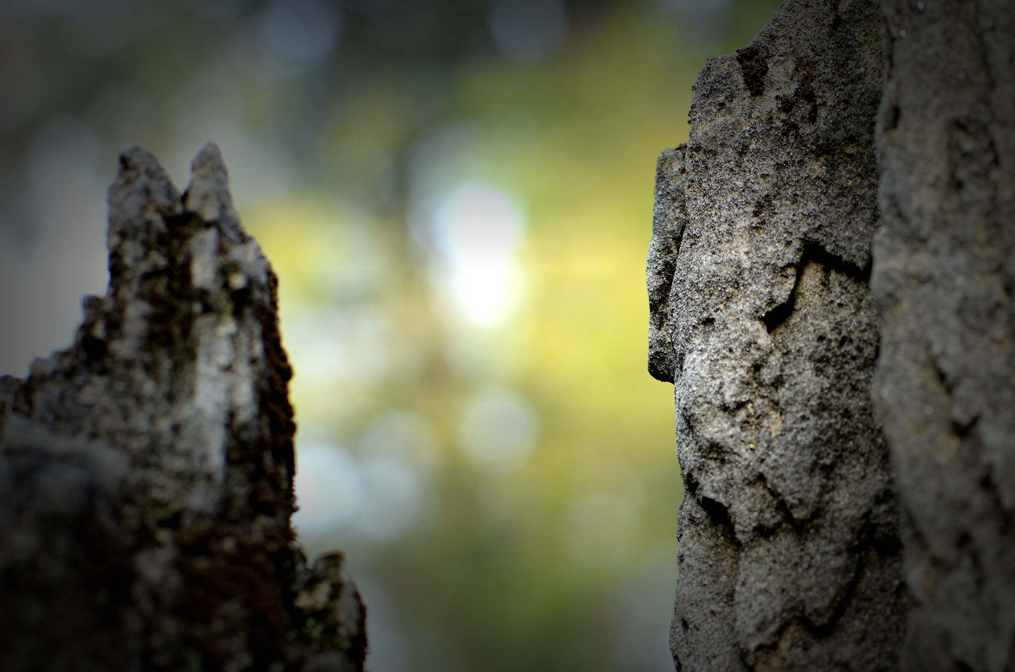 Nikon AF-S Micro-Nikkor 105mm F2.8G IF-ED VR sample photo. 隐于山 photography