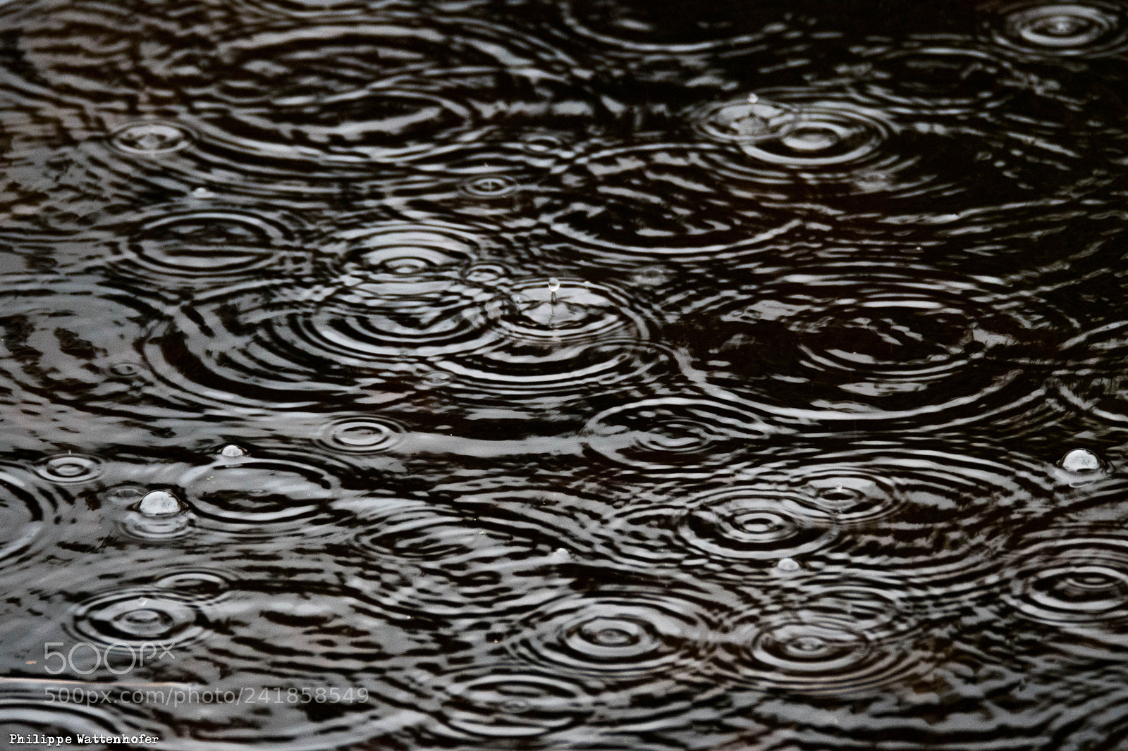 Nikon D500 sample photo. Pwr_0015.jpg photography