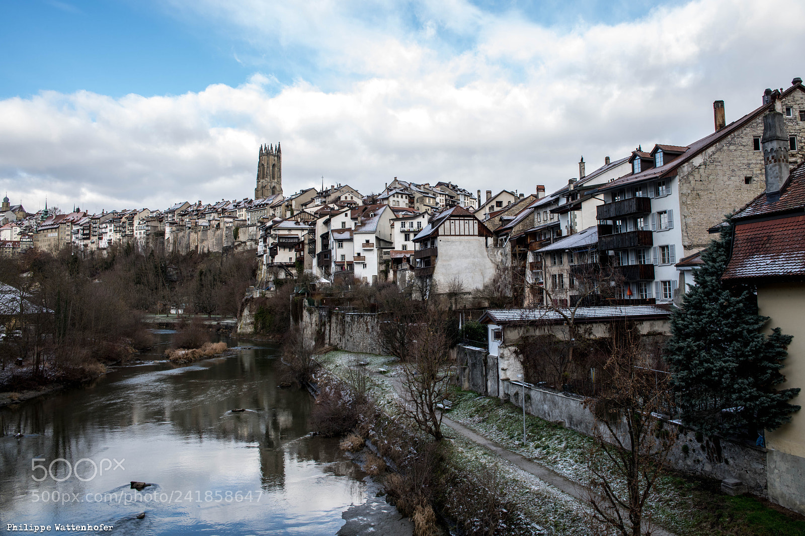 Nikon D850 sample photo. Pwr_0196.jpg photography