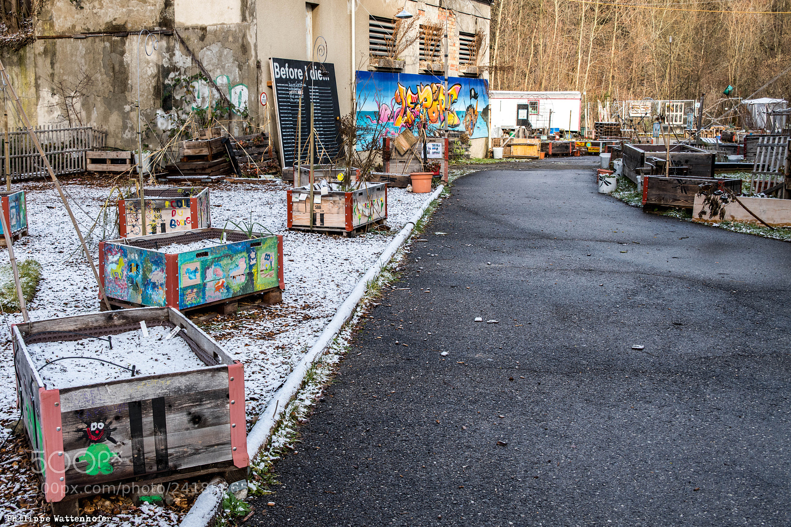 Nikon D850 sample photo. Pwr_0209.jpg photography