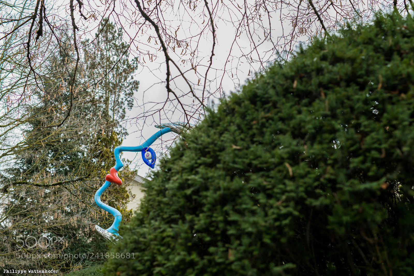 Nikon D850 sample photo. Pwr_0283.jpg photography