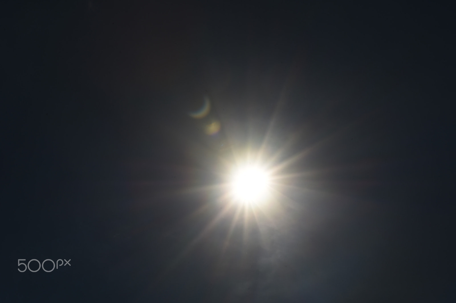 Nikon D7200 sample photo. Sunlight photography