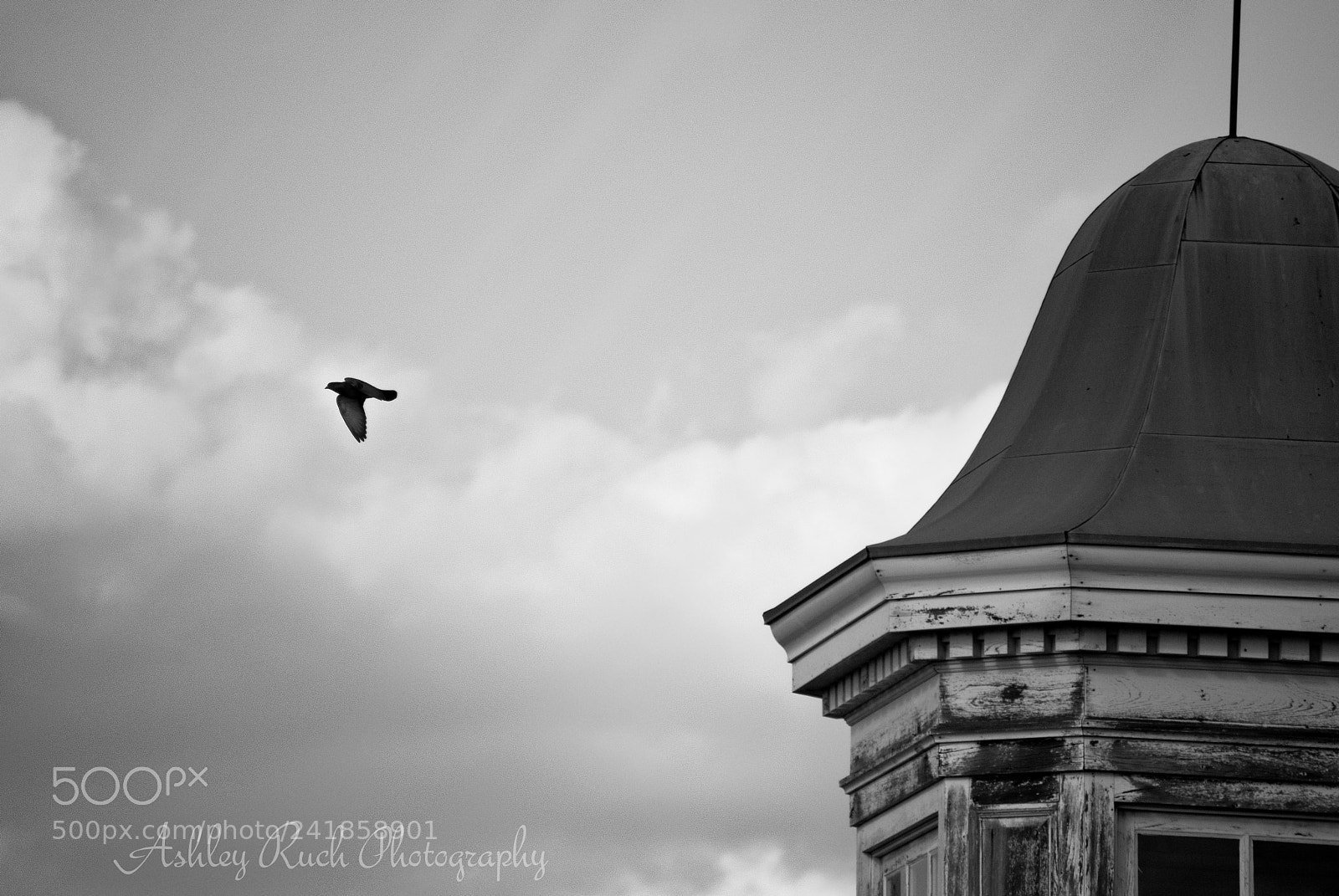 Nikon D3000 sample photo. Aruchphoto photography
