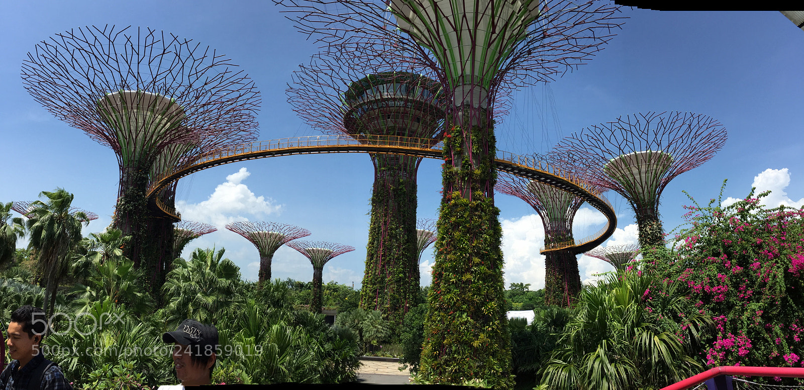 Apple iPhone 6 Plus sample photo. Singapore photography
