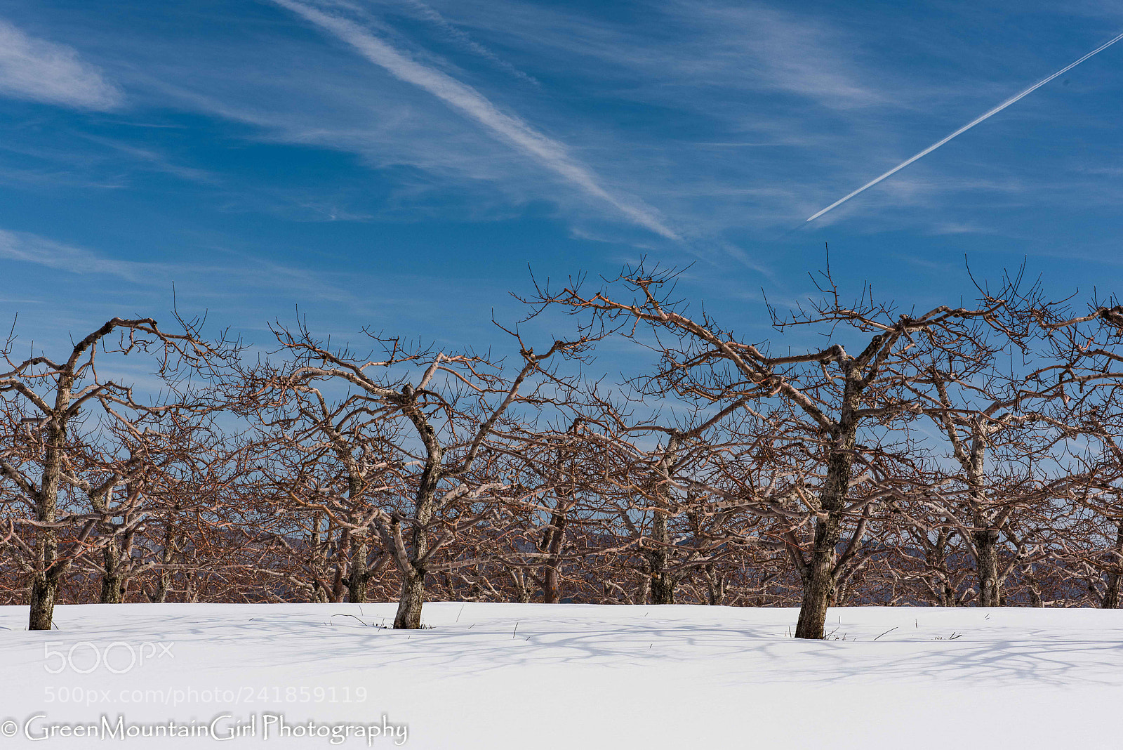Nikon D810 sample photo. Three's a crowd! photography
