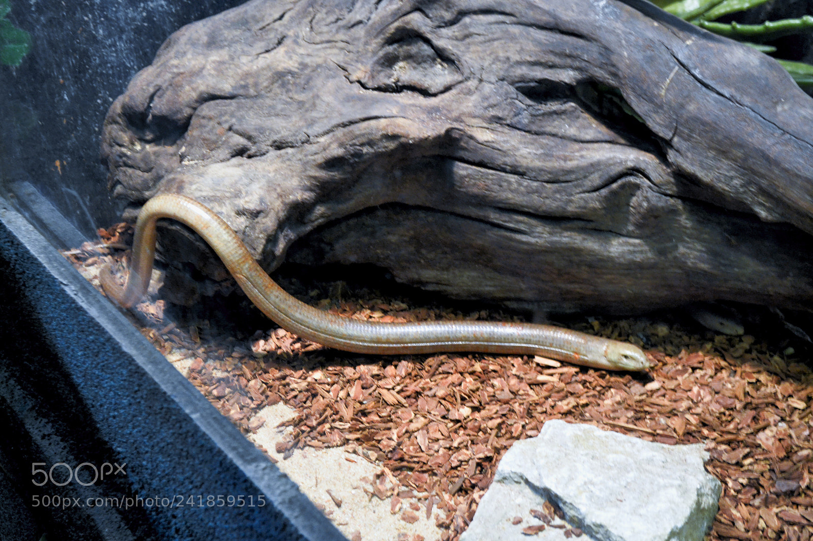 Nikon D3100 sample photo. Branson wonders photography