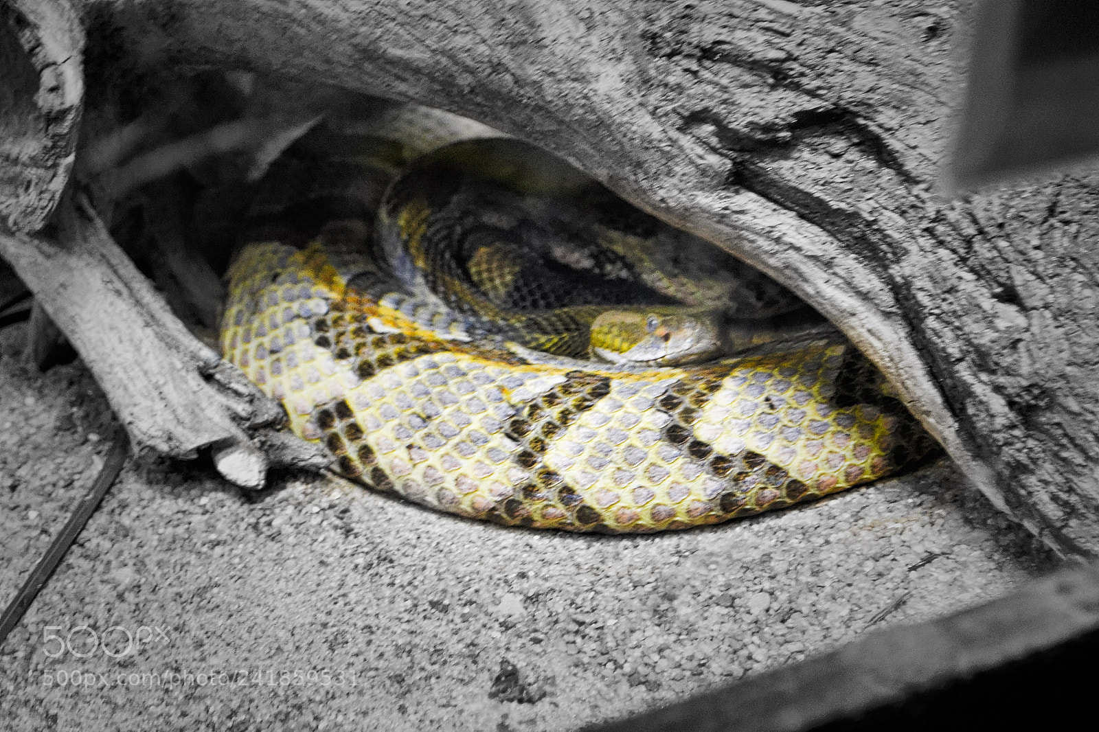 Nikon D3100 sample photo. Branson wonders photography