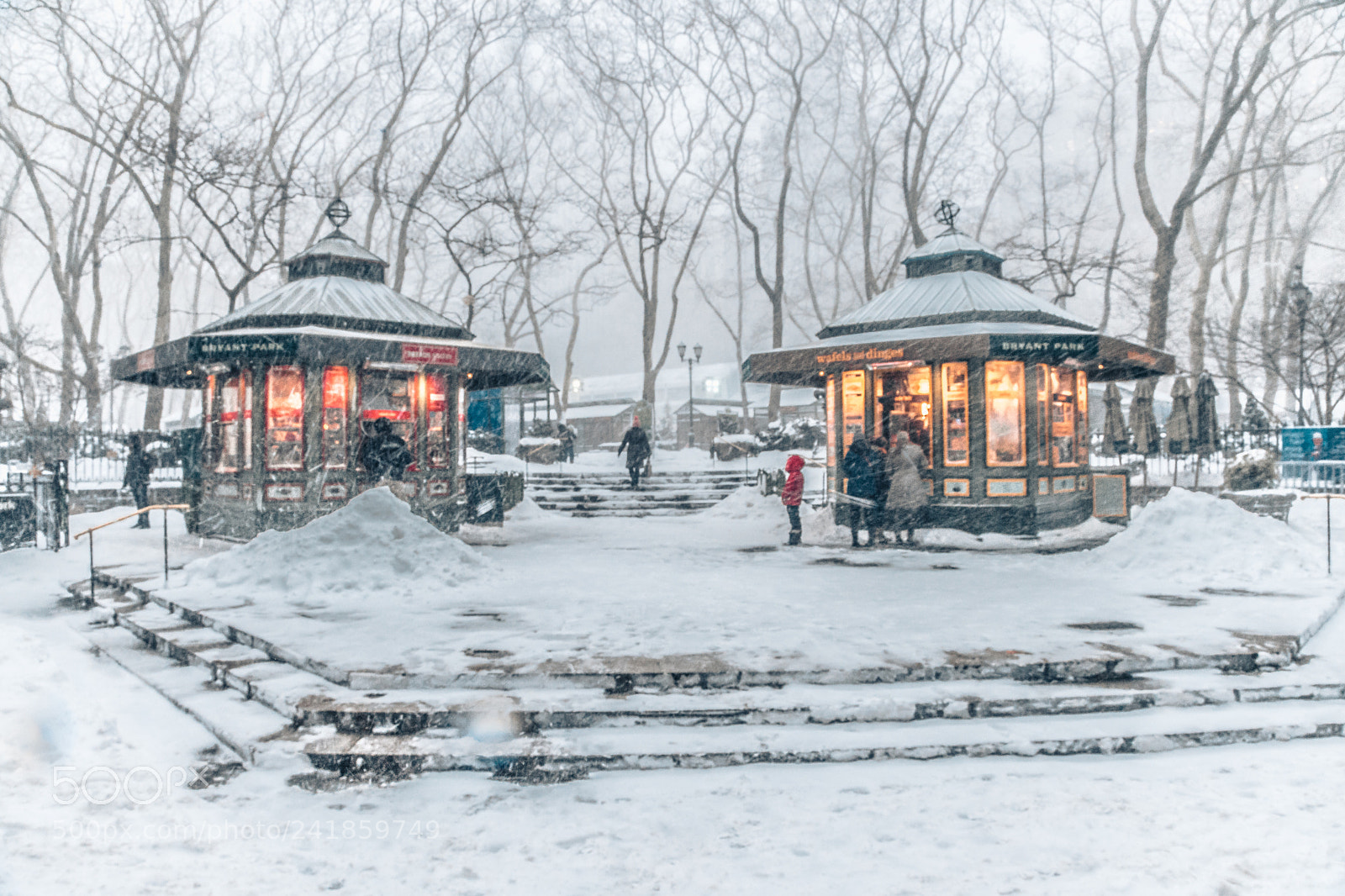 Sony a7 II sample photo. Winter in new york photography