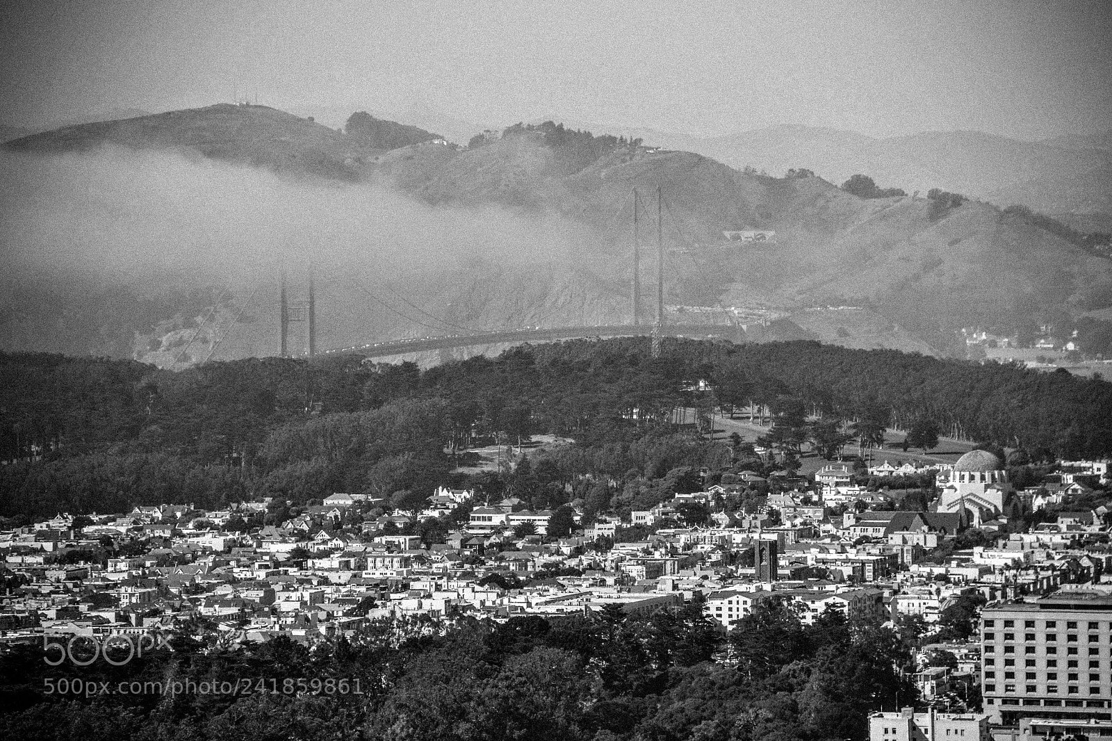 Nikon D3100 sample photo. The morning fog photography