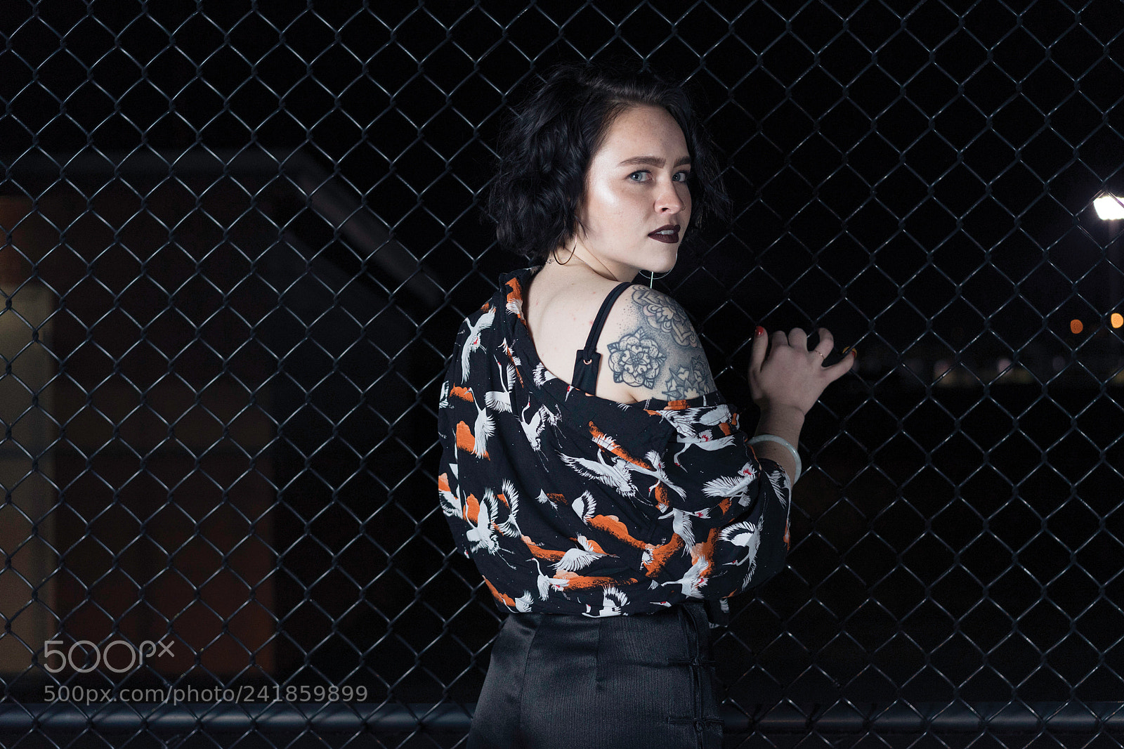 Sony a7 II sample photo. Madison photography