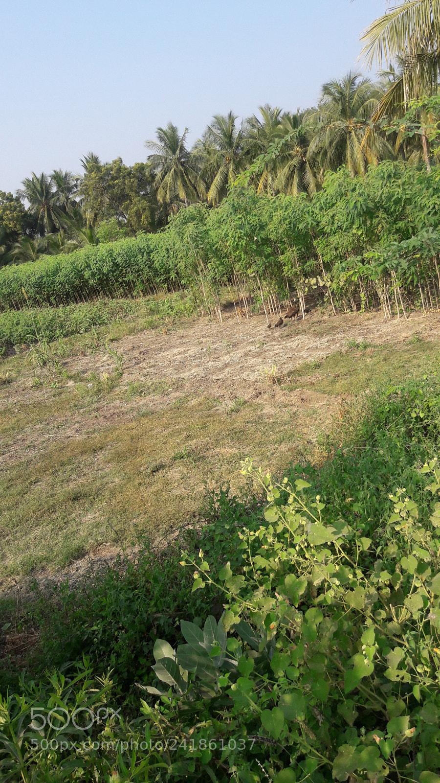 Samsung Galaxy J7 sample photo. Untitled photography