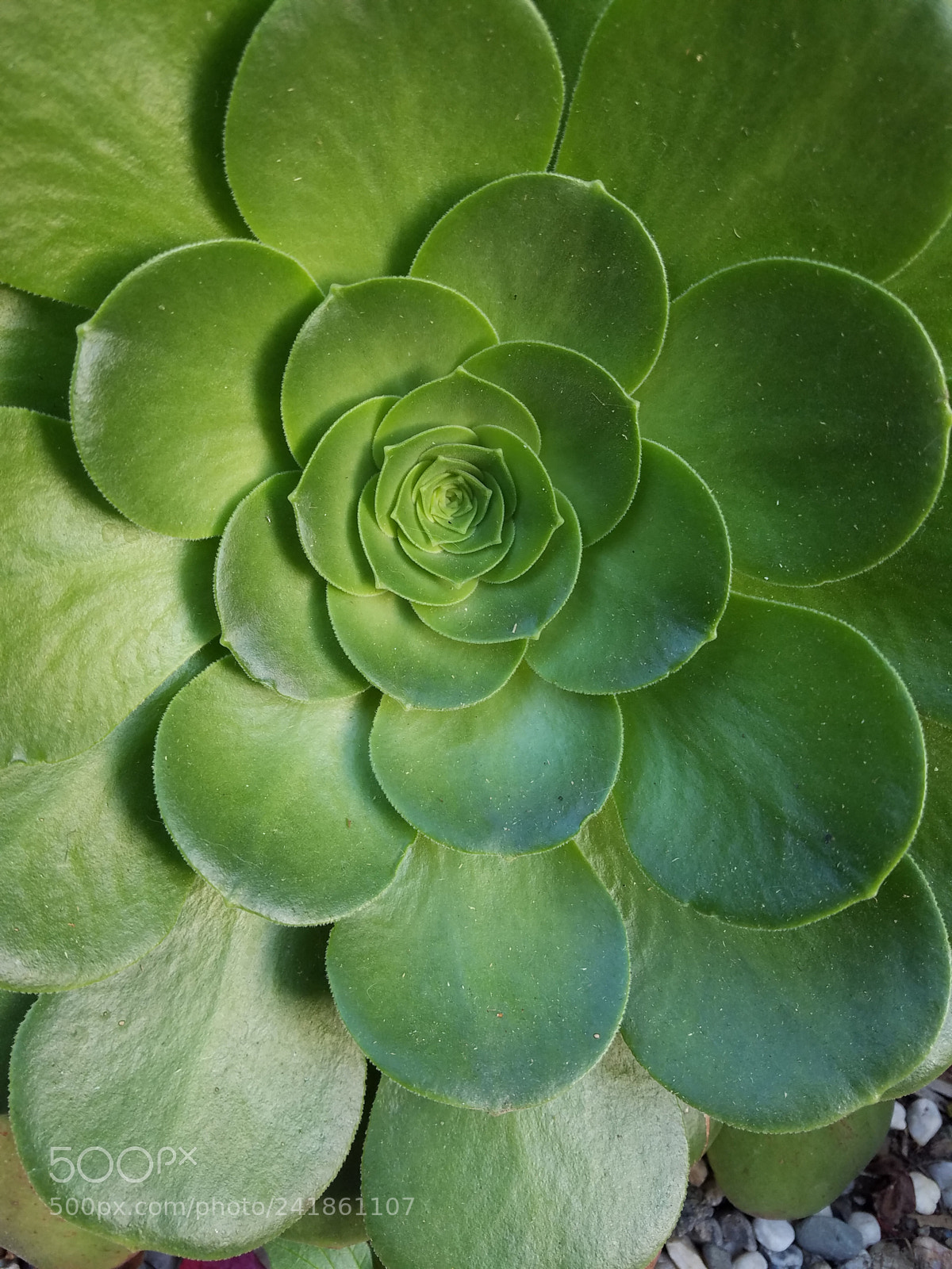 Samsung Galaxy S7 sample photo. 20160421_185959.jpg photography